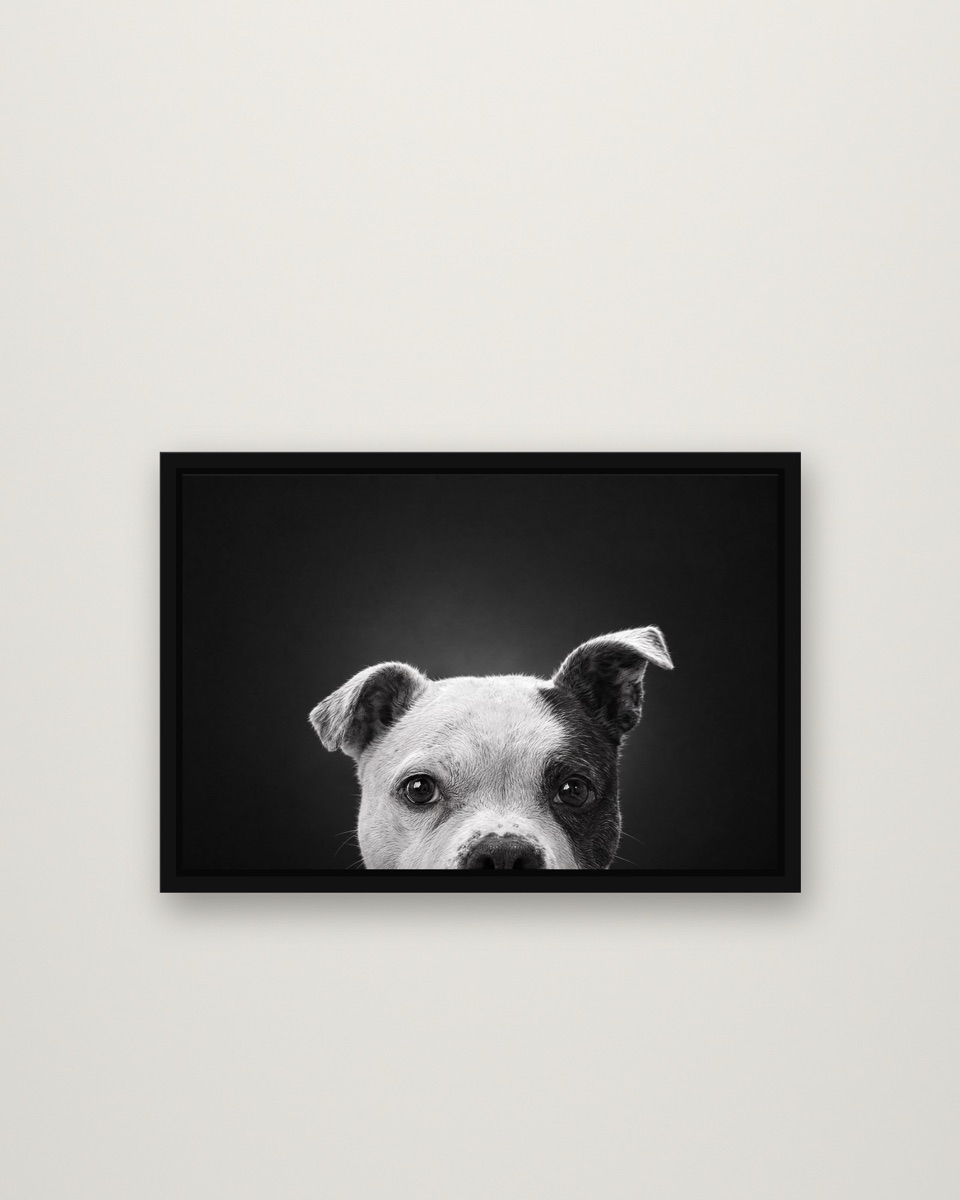 The Peek Noir framed on a wall