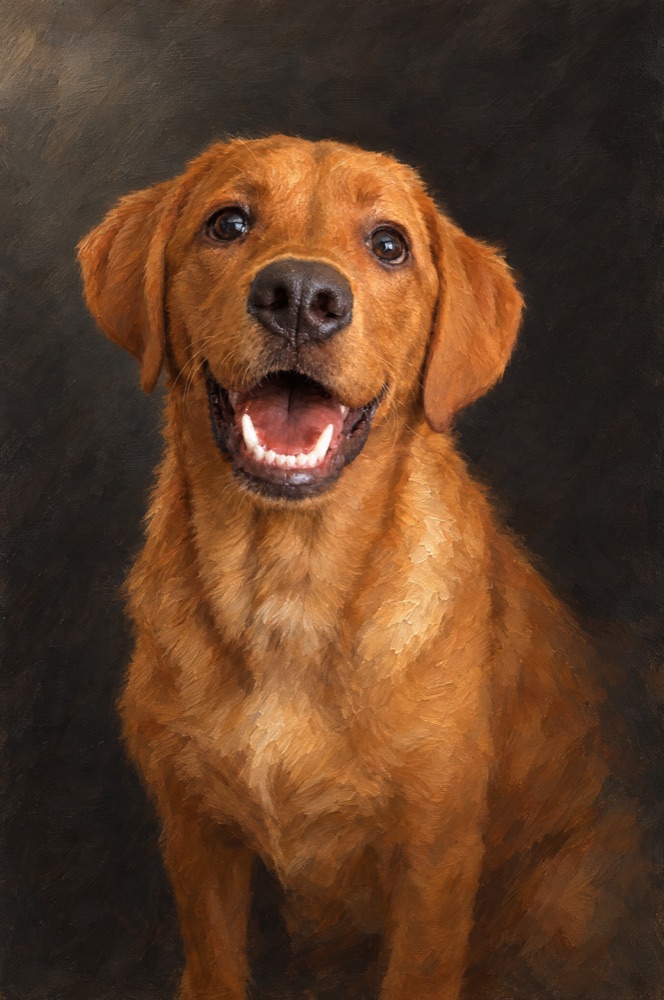 The Classic portrait in charcoal